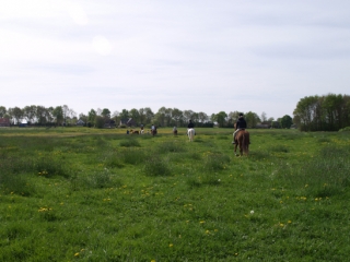 ruta a caballo